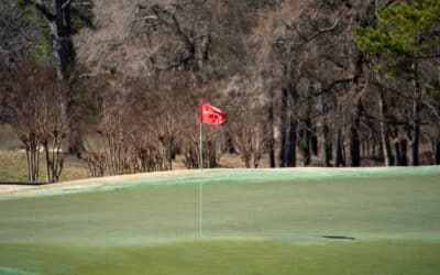 Golf Course Superintendent News – March 2023